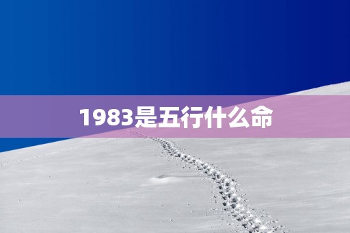 1983是五行什么命