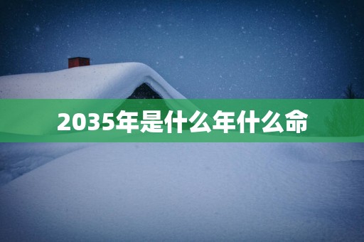 2035年是什么年什么命