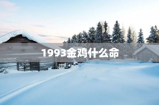 1993金鸡什么命