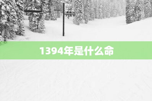 1394年是什么命