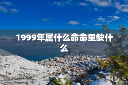 1999年属什么命命里缺什么
