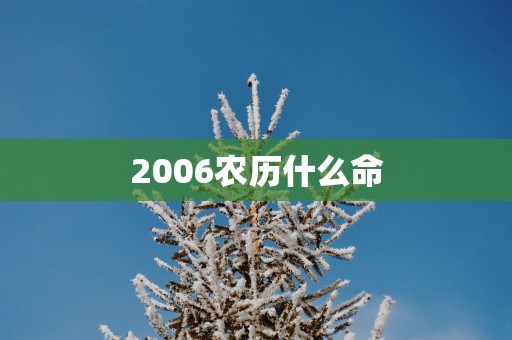 2006农历什么命