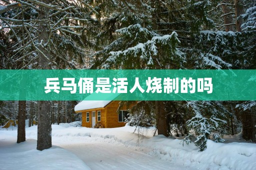 兵马俑是活人烧制的吗