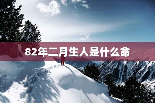 82年二月生人是什么命