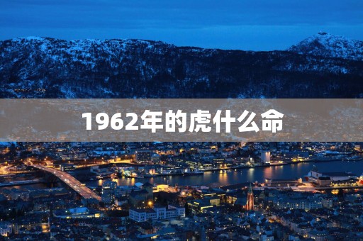 1962年的虎什么命
