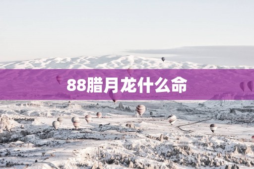 88腊月龙什么命
