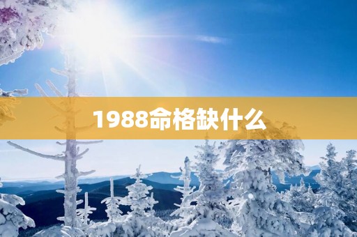 1988命格缺什么