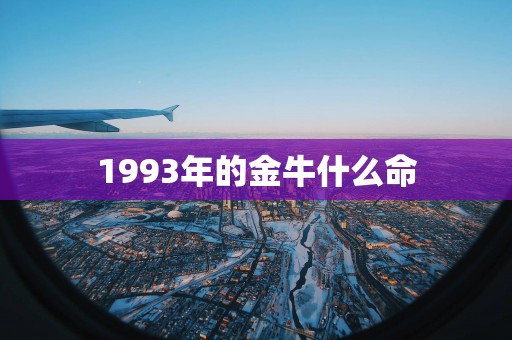 1993年的金牛什么命