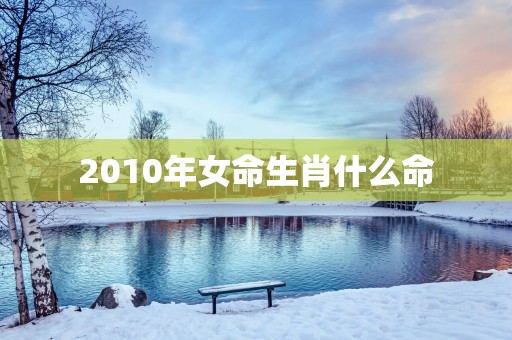 2010年女命生肖什么命