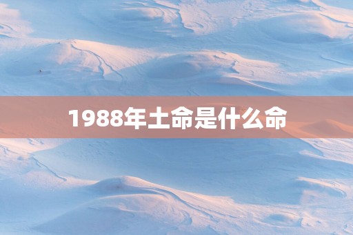 1988年土命是什么命