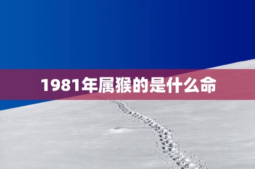 1981年属猴的是什么命