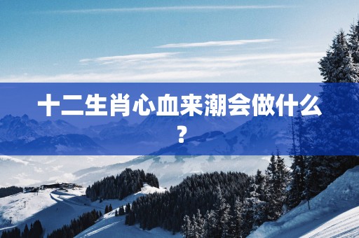 十二生肖心血来潮会做什么？