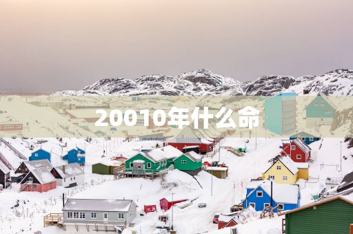 20010年什么命