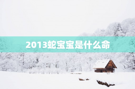 2013蛇宝宝是什么命