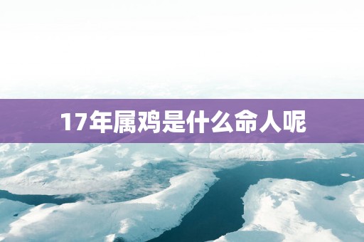 17年属鸡是什么命人呢