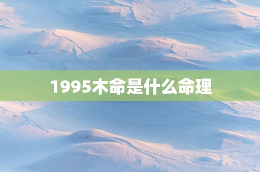 1995木命是什么命理