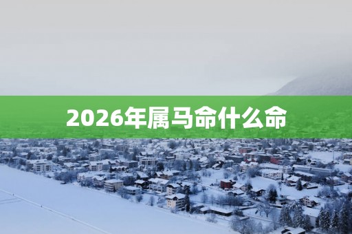 2026年属马命什么命