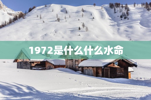 1972是什么什么水命