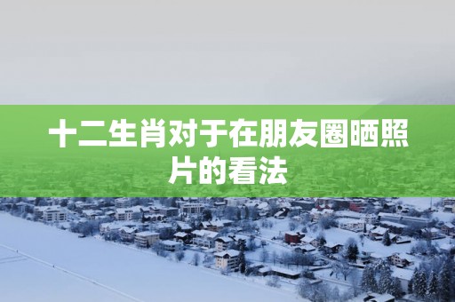十二生肖对于在朋友圈晒照片的看法