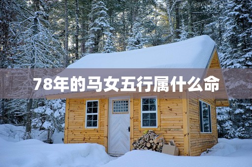 78年的马女五行属什么命
