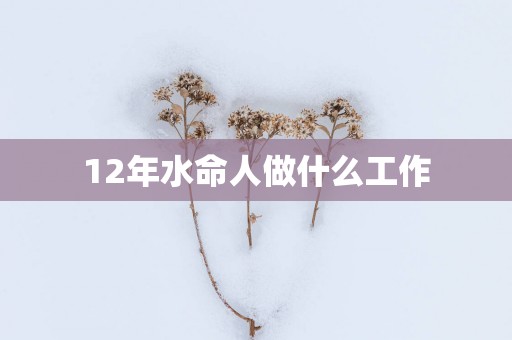 12年水命人做什么工作