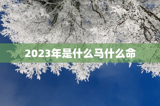 2025年是什么马什么命