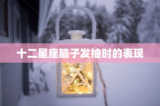 十二星座脑子发抽时的表现
