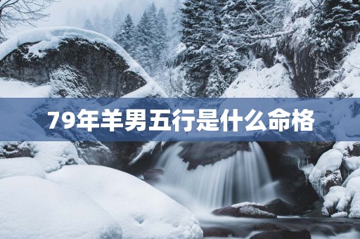 79年羊男五行是什么命格