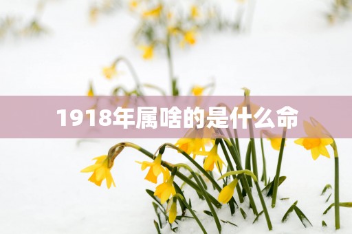 1918年属啥的是什么命