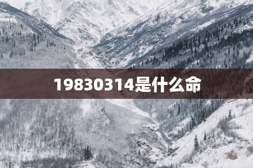 19830314是什么命