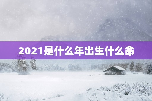 2025是什么年出生什么命