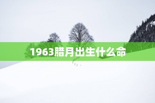 1963腊月出生什么命