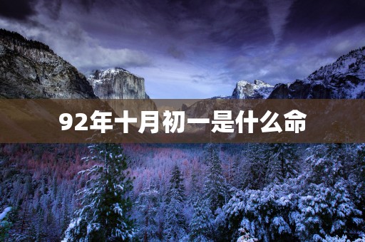 92年十月初一是什么命
