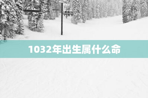 1032年出生属什么命