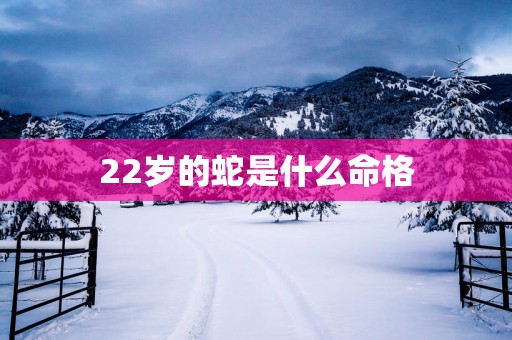 22岁的蛇是什么命格