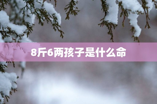 8斤6两孩子是什么命