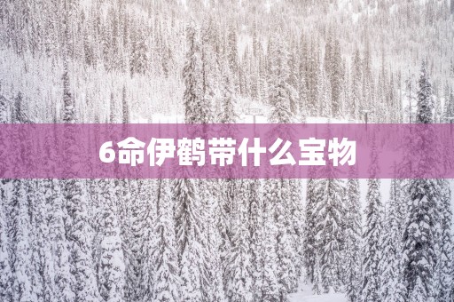 6命伊鹤带什么宝物
