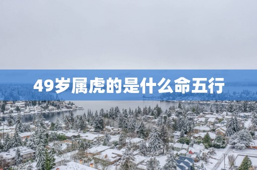 49岁属虎的是什么命五行