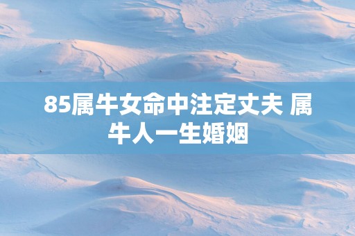 85属牛女命中注定丈夫 属牛人一生婚姻