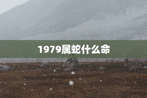 1979属蛇什么命