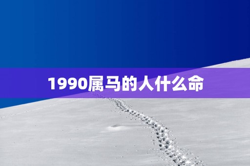 1990属马的人什么命