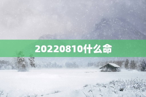 20250810什么命