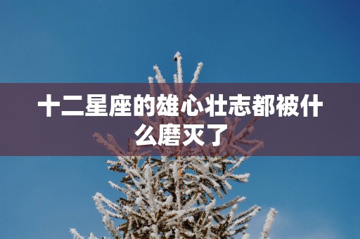 十二星座的雄心壮志都被什么磨灭了