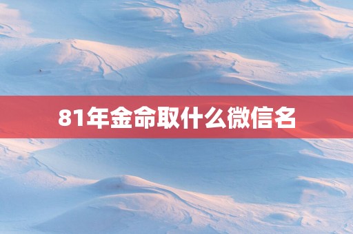81年金命取什么微信名