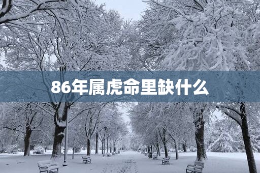 86年属虎命里缺什么