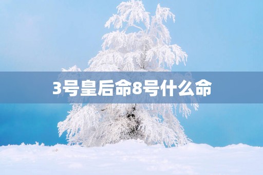 3号皇后命8号什么命