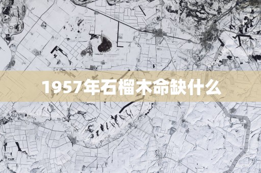 1957年石榴木命缺什么