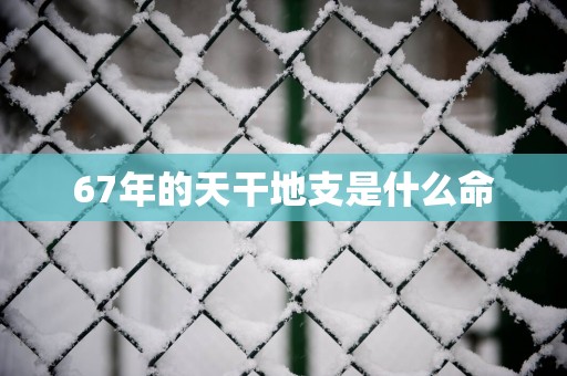 67年的天干地支是什么命