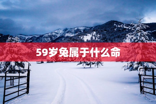 59岁兔属于什么命