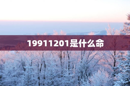 19911201是什么命